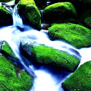 女仆犯错被主人调教胸
